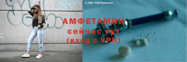 мдпв Богородск