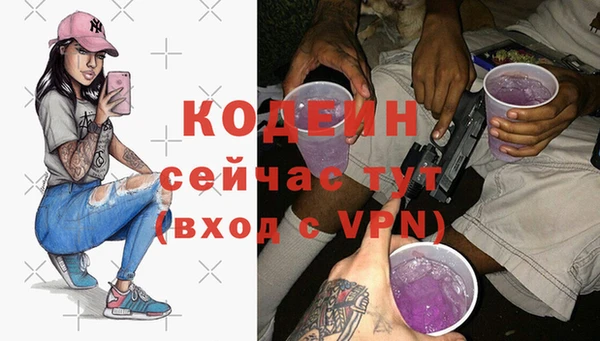 мдпв Богородск