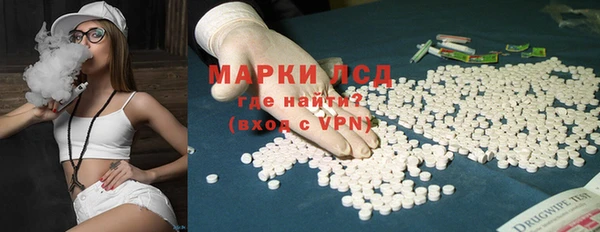 мдпв Богородск