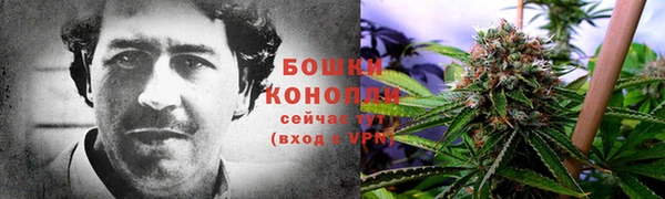 мдпв Богородск