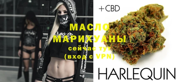мдпв Богородск