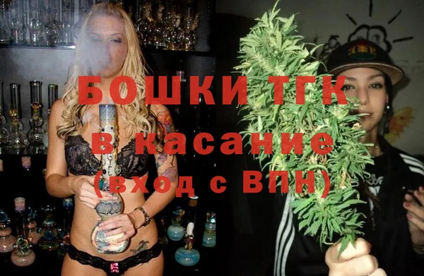 мдпв Богородск