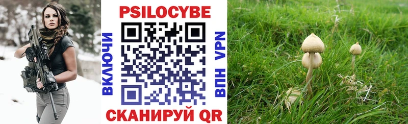 Псилоцибиновые грибы Magic Shrooms  Купить закладки  Волхов 