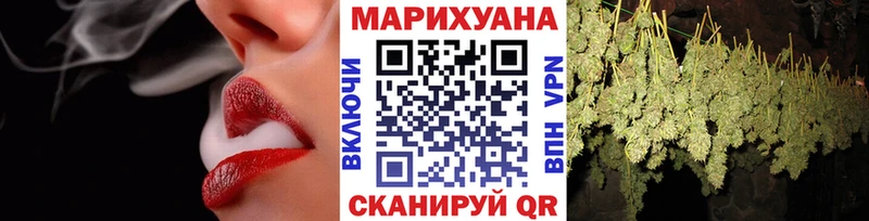 Каннабис план  Купить закладки  Волхов 